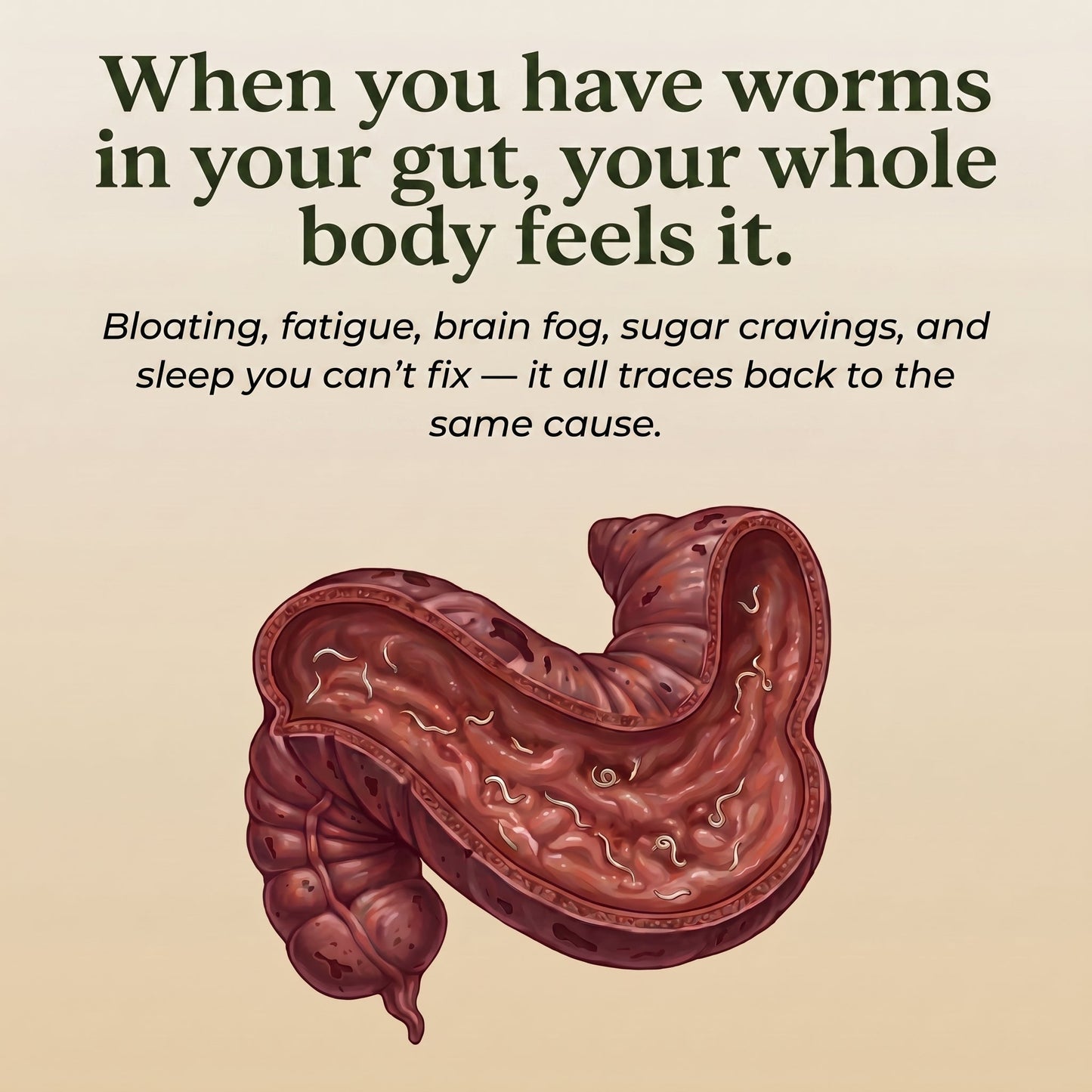 Castor Oil Detox Pack