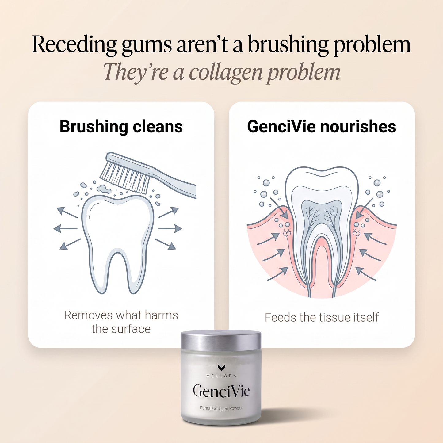 Receding gums are a collagen problem - brushing cleans, GenciVie nourishes